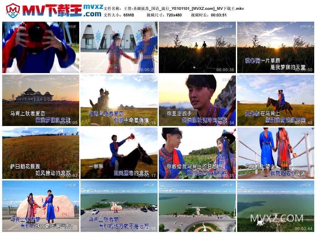 王贺-圣湖流苏_国语_流行_YE101101